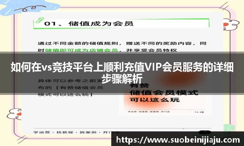 如何在vs竞技平台上顺利充值VIP会员服务的详细步骤解析